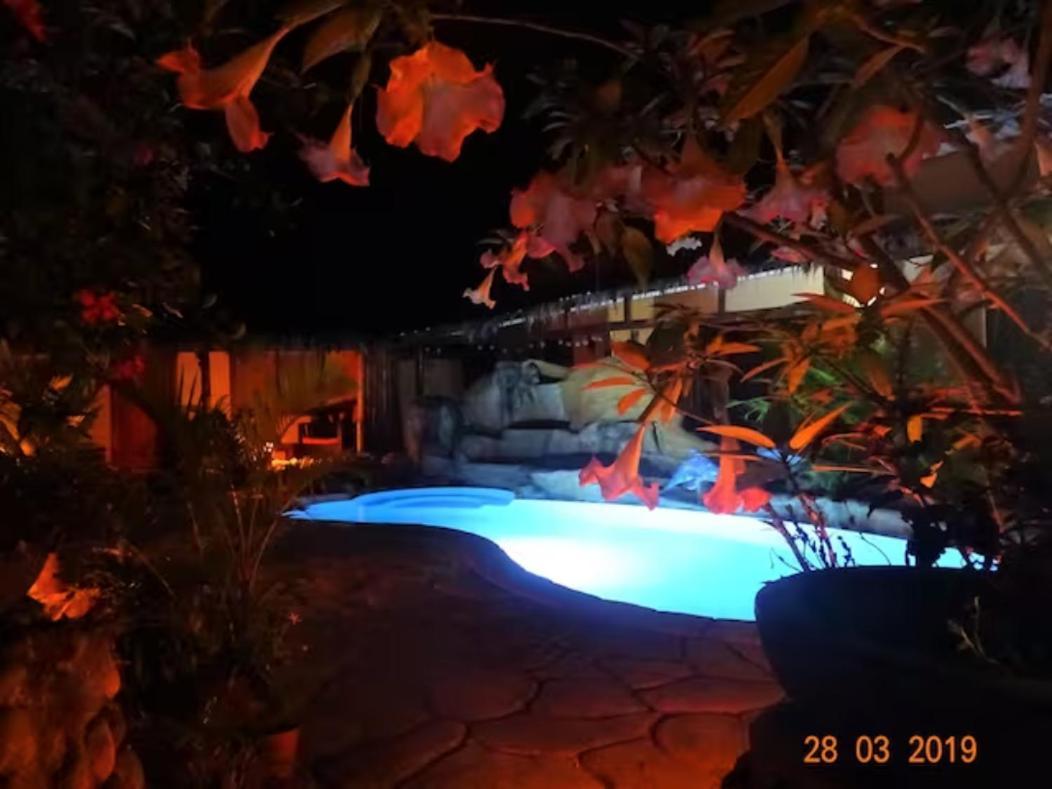 Casa Caribbean Coconut Hotel Cahuita Exterior photo