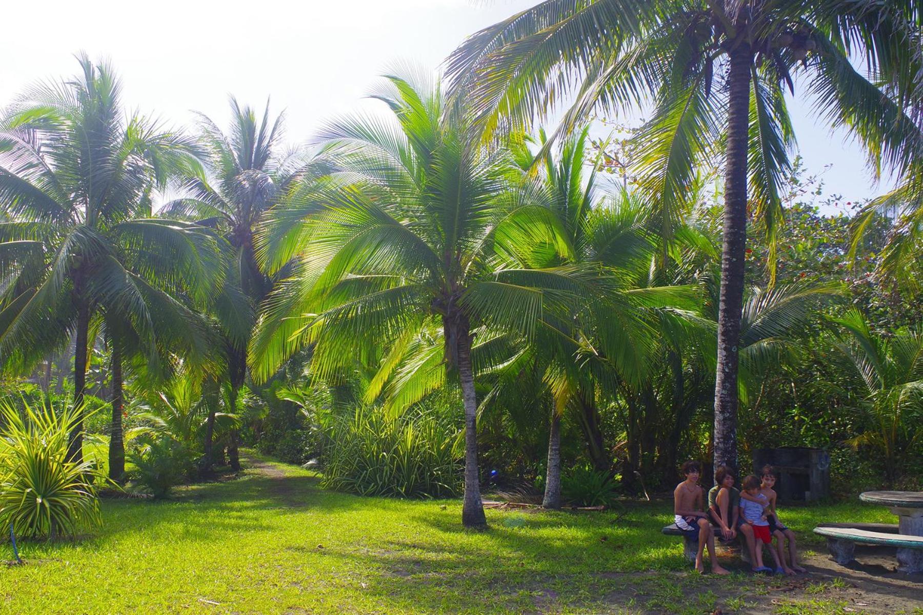 Casa Caribbean Coconut Hotel Cahuita Exterior photo